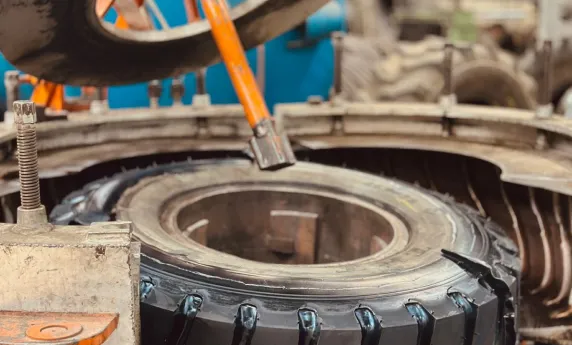 Segmentos Representados